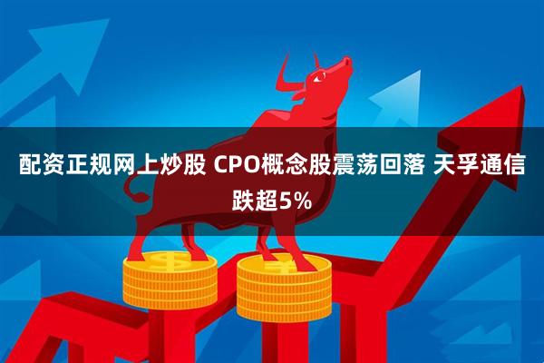 配资正规网上炒股 CPO概念股震荡回落 天孚通信跌超5%