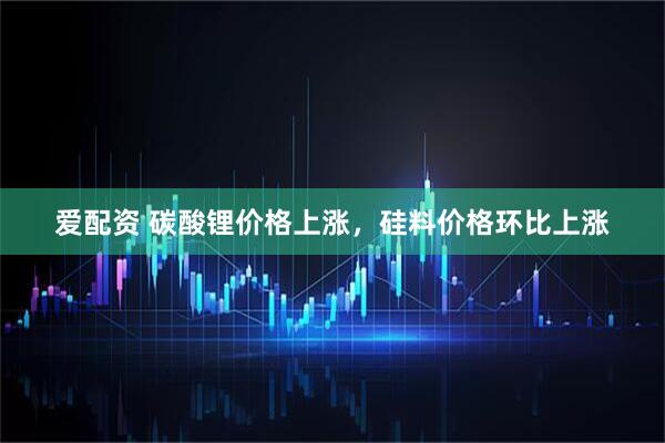 爱配资 碳酸锂价格上涨，硅料价格环比上涨
