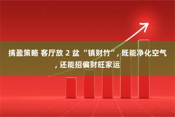 摛盈策略 客厅放 2 盆 “镇财竹”, 既能净化空气, 还能招偏财旺家运