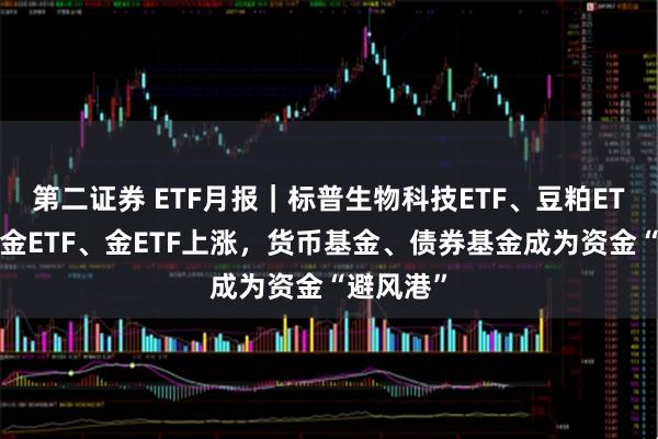第二证券 ETF月报|标普生物科技ETF、豆粕ETF、上海金ETF、金ETF上涨,货币基金、债券基金成为资金“避风港”