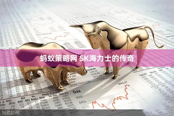 蚂蚁策略网 SK海力士的传奇